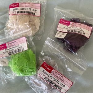 Thirty one Rosette Clips